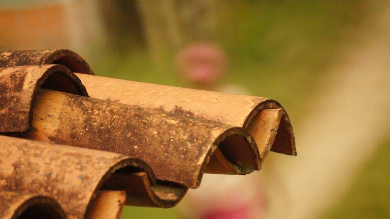 The Impact of Social Media on Elections