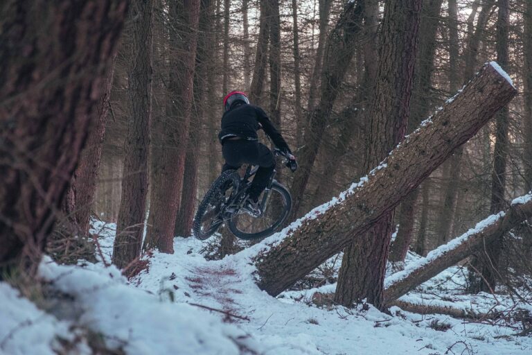 Investigating Cricket’s Role in Refugee Integration