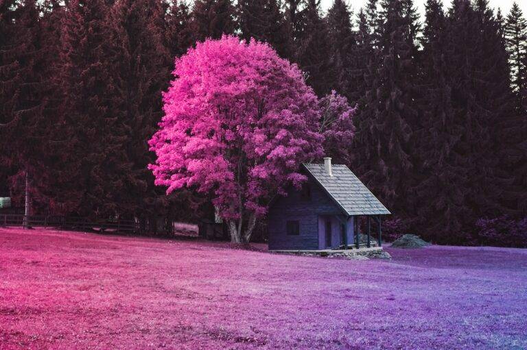 Best Practices for Sustainable Home Renovations