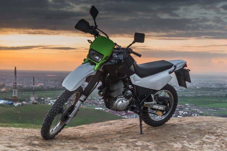 Sustainability Initiatives in IPL Venues: Greening the Game