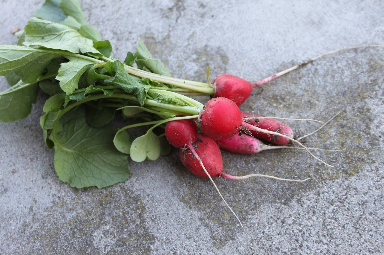 Augmented Reality in Medical Education and Training