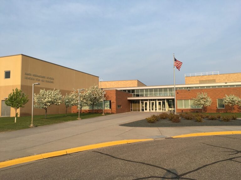 Examining the Benefits of Dual-Language Immersion Programs